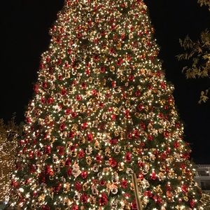 Meet your Posher, Yohana